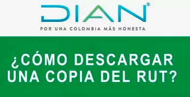 como descargar una copia del rut