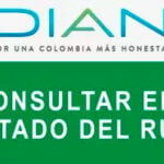 consultar estado rut