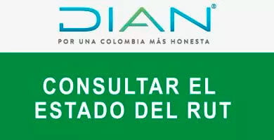 consultar-estado-rut