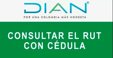 consultar estado rut con cedula