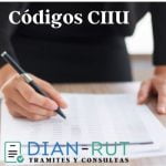 Lista de Códigos CIIU de Actividades económicas DIAN – RUT