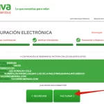 FACTURACIÓN VIVAAEROBUS