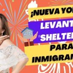 requisitos para vivir en un shelter