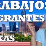 trabajos domesticos en houston tx